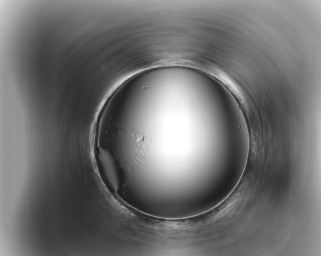 X0000096421102200801311407