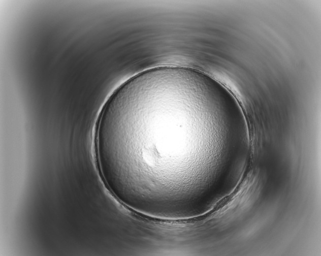 X0000096421103200801311407