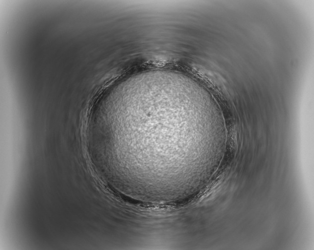 X0000096421105200801311407