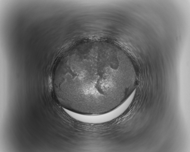 X0000096421106200801311407