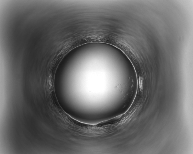 X0000096421107200801311407