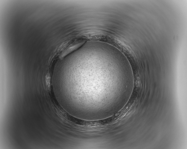 X0000096421108200801311407