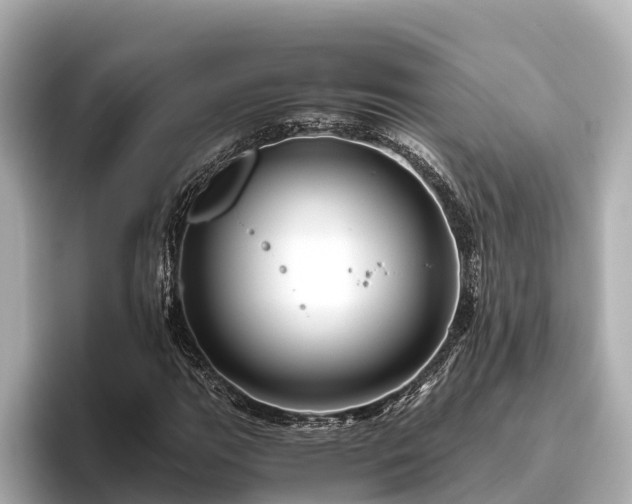 X0000096421111200801311407