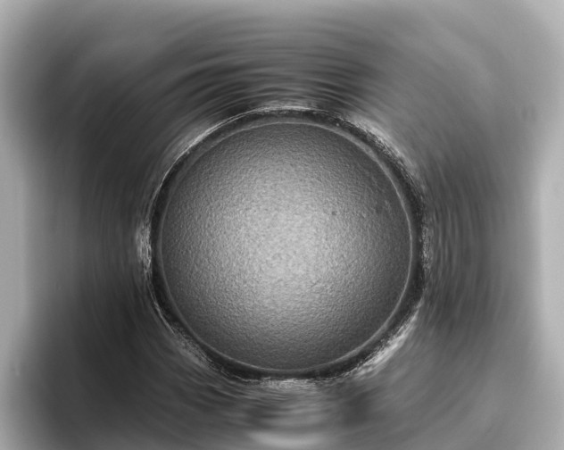 X0000096421113200801311407