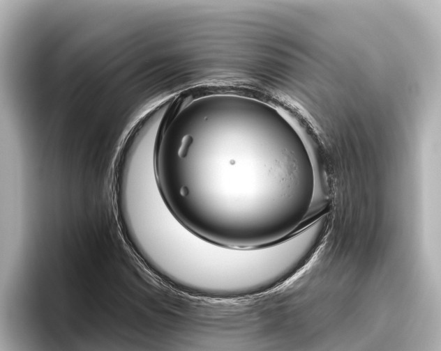 X0000096421114200801311407