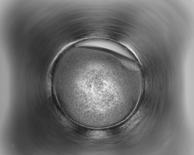 X0000096421115200801311407
