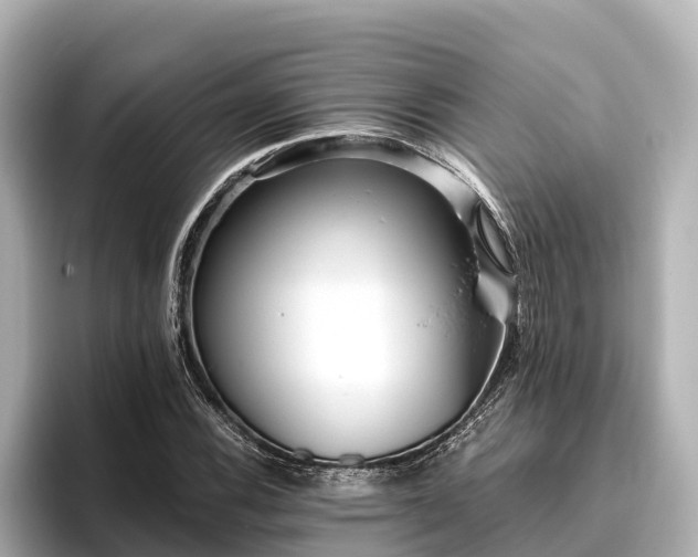 X0000096421116200801311407