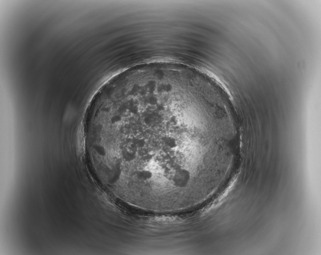 X0000096421117200801311407