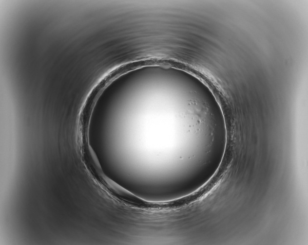 X0000096421118200801311407