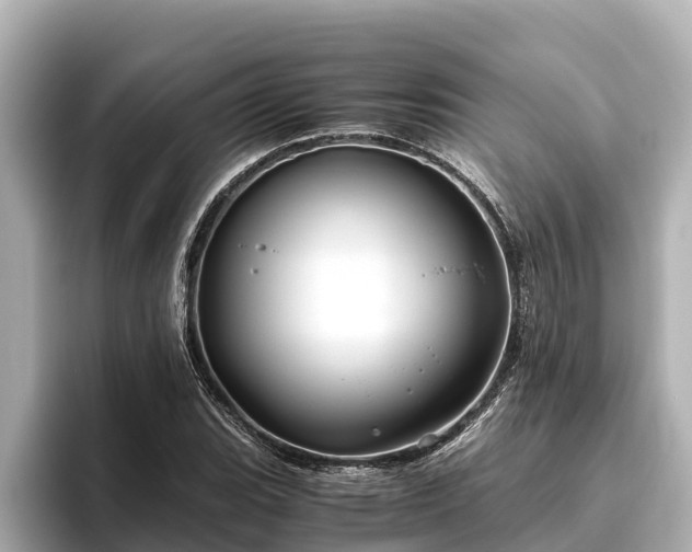 X0000096421119200801311407