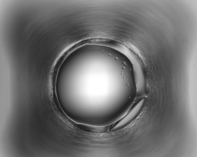 X0000096421120200801311407