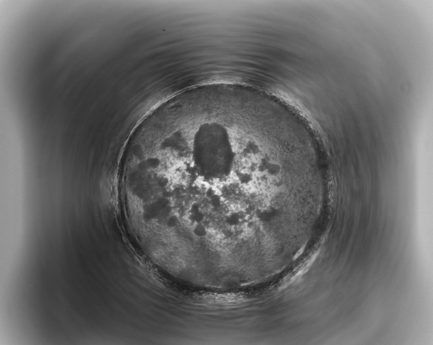 X0000096421121200801311407