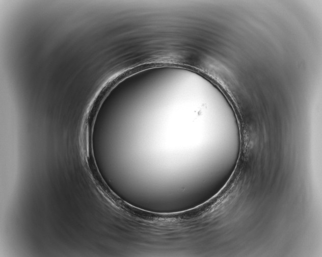 X0000096421123200801311407