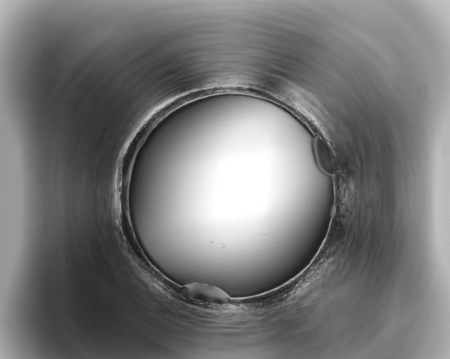 X0000096421124200801311407