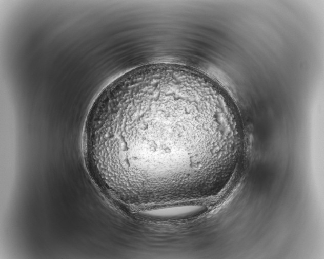X0000096421125200801311407