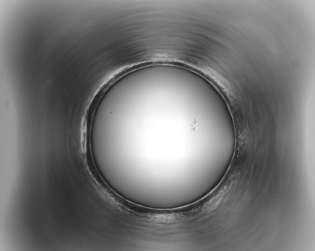 X0000096421126200801311407