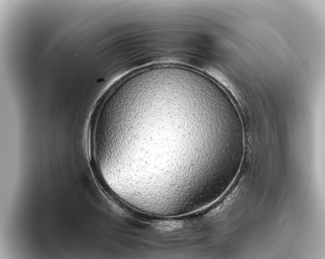X0000096421127200801311407
