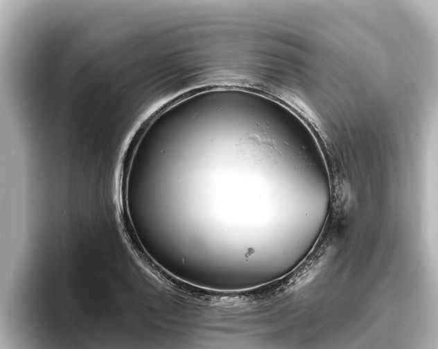 X0000096421128200801311407