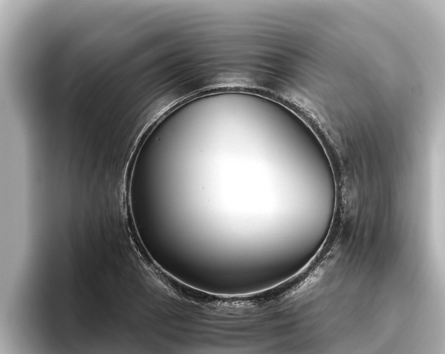 X0000096421129200801311407