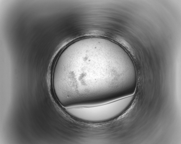 X0000096421130200801311407