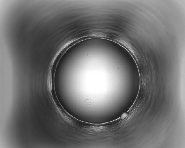 X0000096421131200801311407