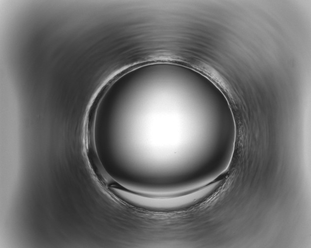 X0000096421132200801311407