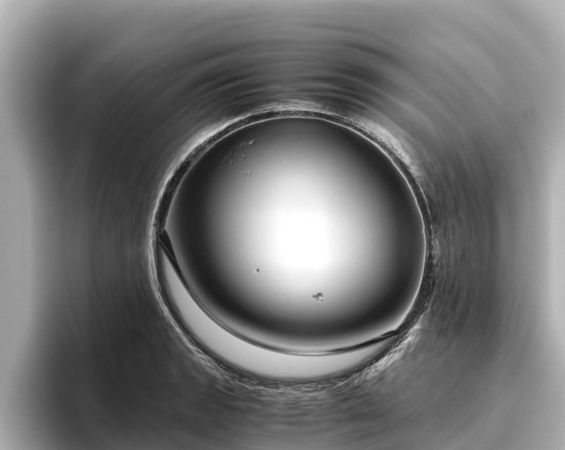 X0000096421133200801311407