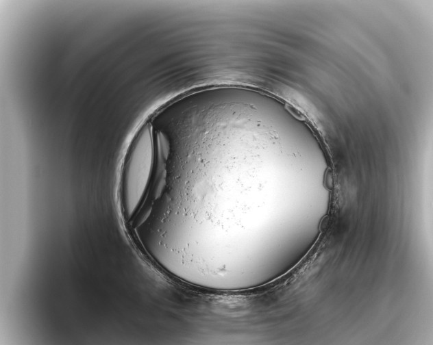 X0000096421136200801311407