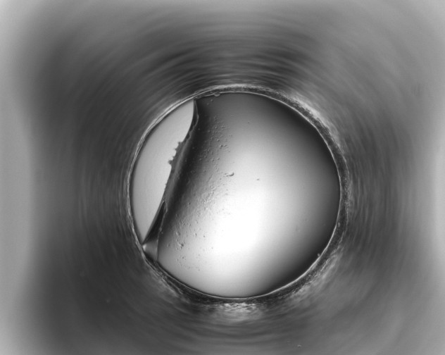 X0000096421137200801311407