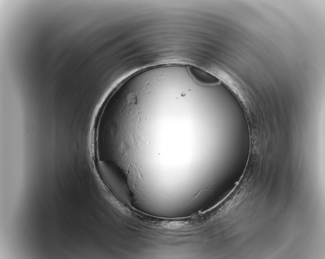 X0000096421140200801311407