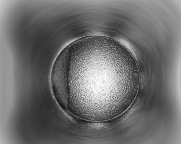 X0000096421141200801311407