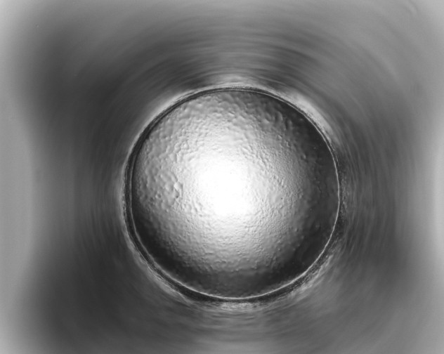 X0000096421142200801311407