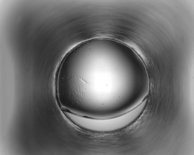 X0000096421143200801311407