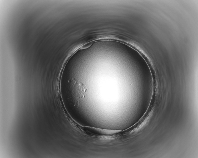X0000096421145200801311407