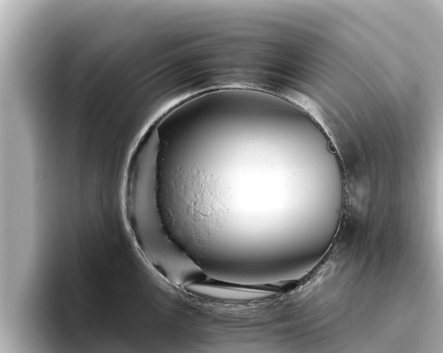 X0000096421147200801311407