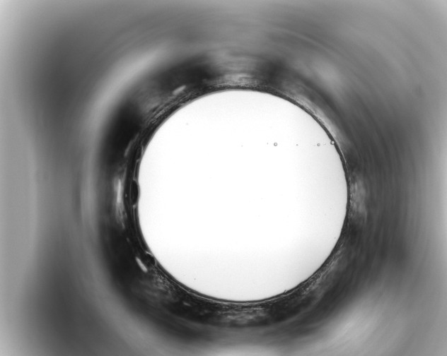 X0000096421150200801311407