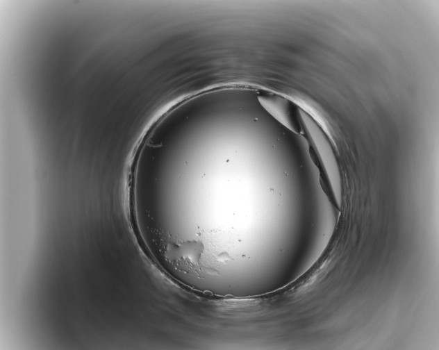 X0000096421151200801311407