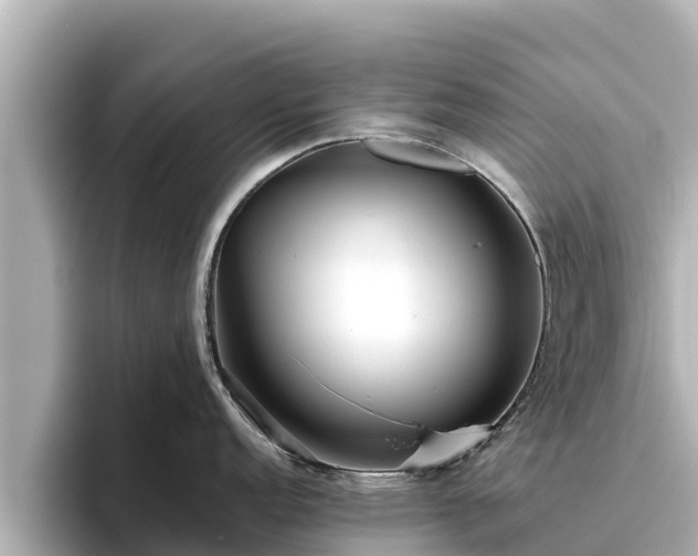 X0000096421152200801311407
