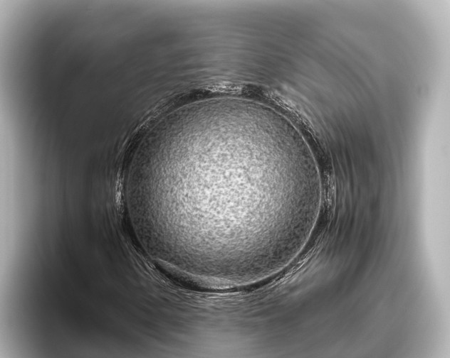 X0000096421154200801311406