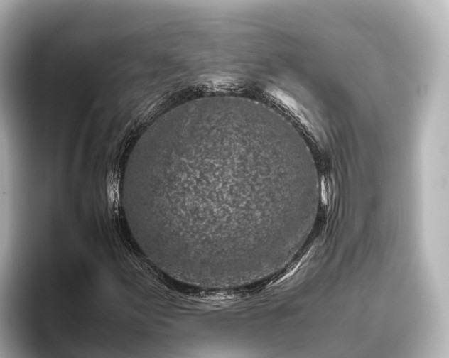 X0000096421155200801311406