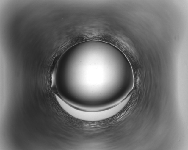 X0000096421156200801311406