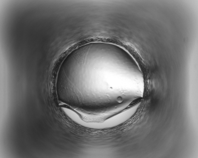 X0000096421159200801311406