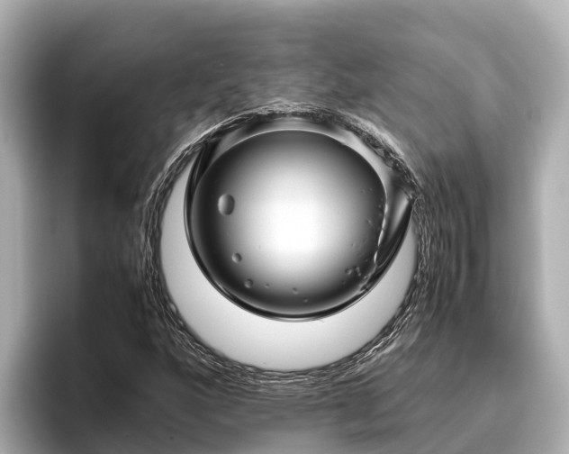 X0000096421160200801311406