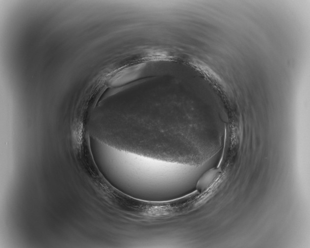X0000096421161200801311406