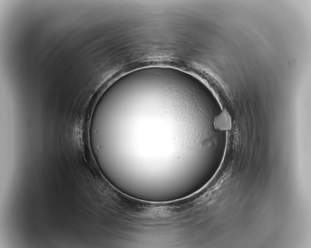 X0000096421162200801311406
