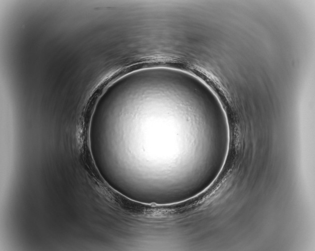 X0000096421163200801311406