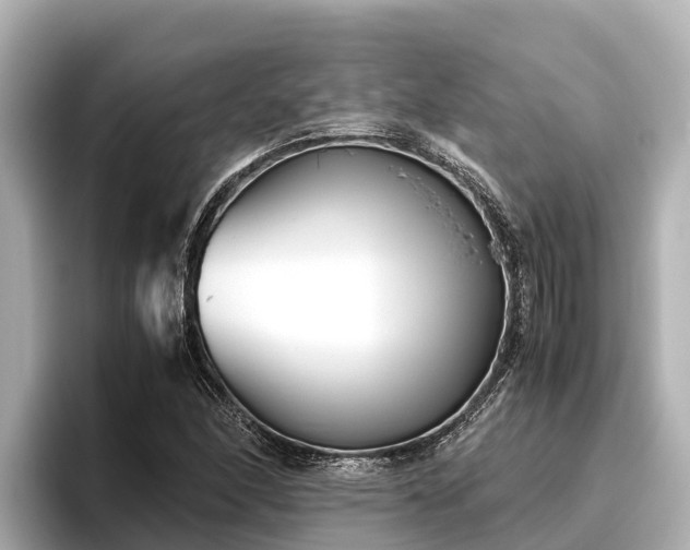X0000096421166200801311406