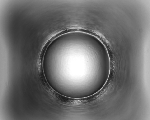 X0000096421167200801311406