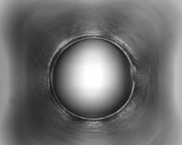 X0000096421168200801311406