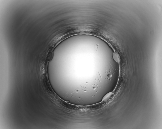 X0000096421169200801311406